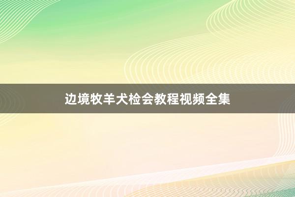 边境牧羊犬检会教程视频全集