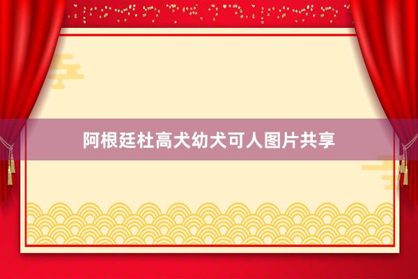 阿根廷杜高犬幼犬可人图片共享